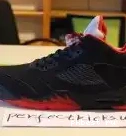 Bronze Air Authentic Jordan 5 0507
